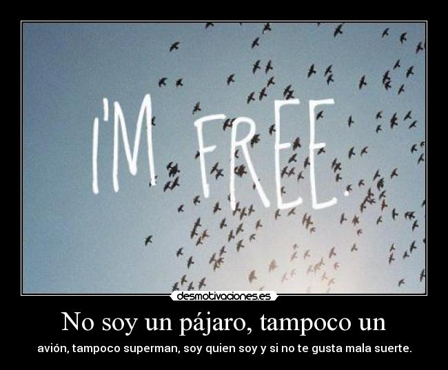 No soy un pájaro, tampoco un - avión, tampoco superman, soy quien soy y si no te gusta mala suerte.