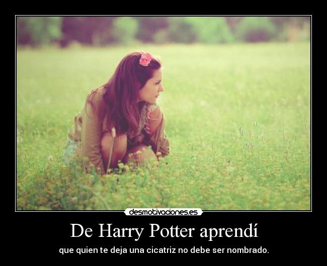 carteles harry potter aprendi desmotivaciones