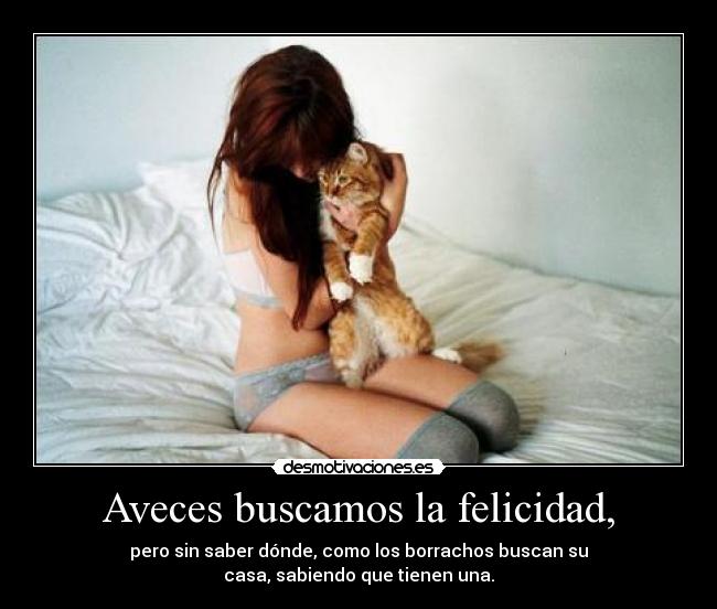 Aveces buscamos la felicidad, - 