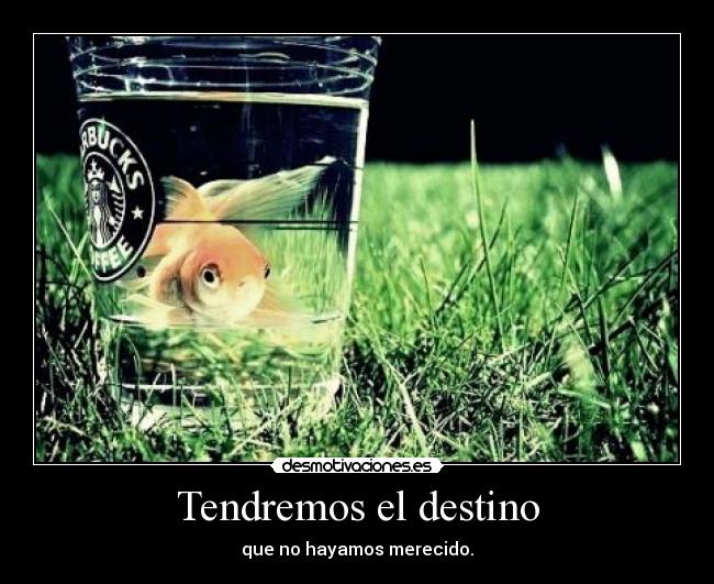 Tendremos el destino - 