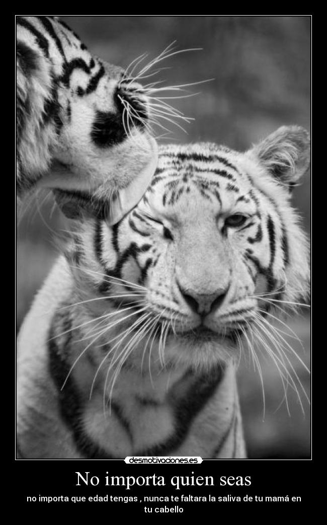 No importa quien seas - no importa que edad tengas , nunca te faltara la saliva de tu mamá en tu cabello