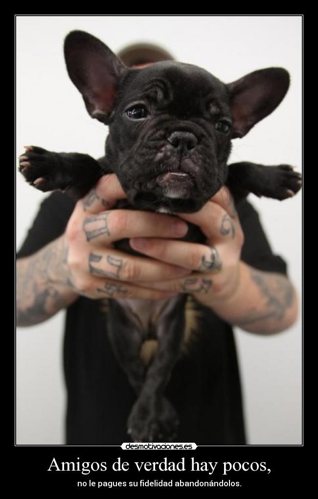 Amigos de verdad hay pocos, - 