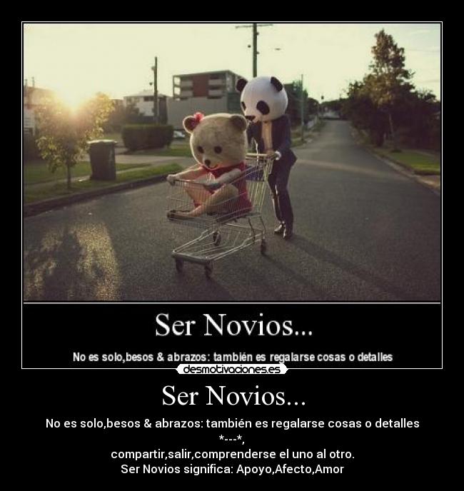 Ser Novios... -
