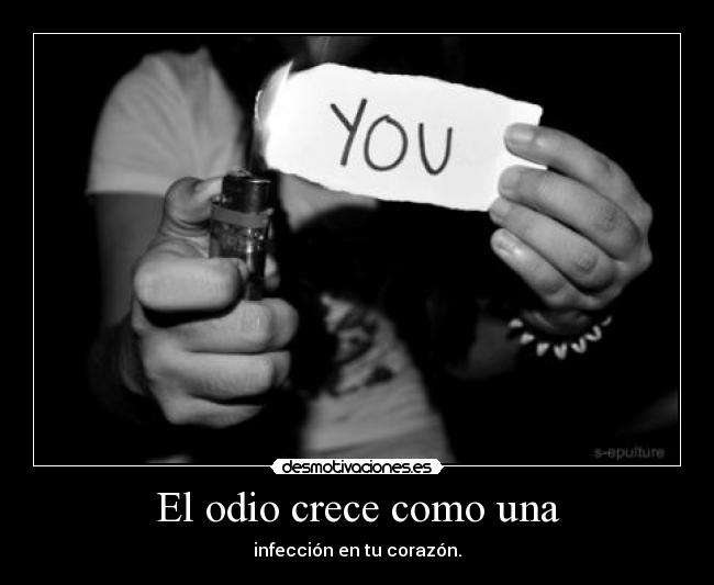 El odio crece como una - infección en tu corazón.