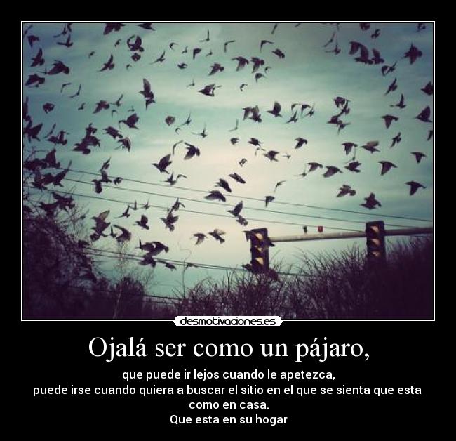 Ojalá ser como un pájaro, - que puede ir lejos cuando le apetezca,
puede irse cuando quiera a buscar el sitio en el que se sienta que esta
como en casa.
Que esta en su hogar