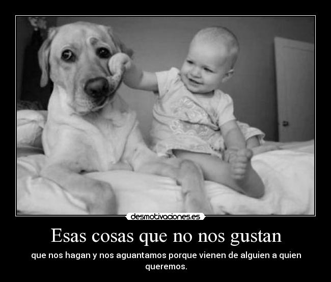 carteles lloro silencio maltrato animal desmotivaciones