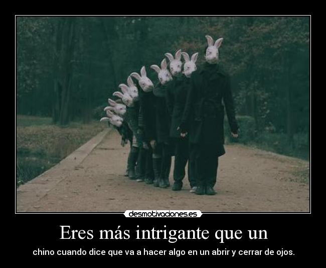 carteles forbidden cabeza princicola tonteria lvl max desmotivaciones