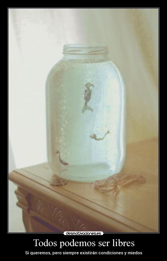Todos podemos ser libres -