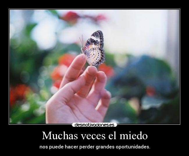 Muchas veces el miedo - 