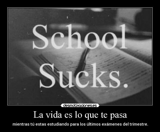 carteles vida vida pasando aqui crazy pajaritosonador desmotivaciones