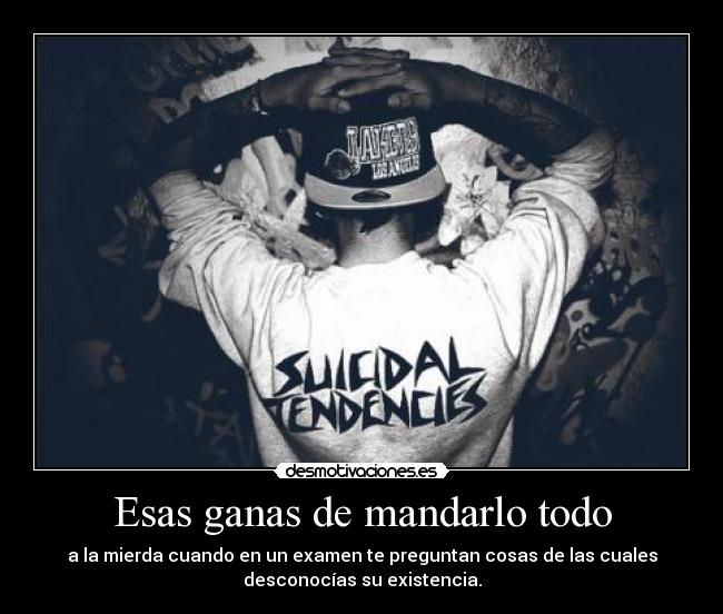 carteles rogertuba pasa bastante preguntan quien filosofo mas importante pues mas fumeta desmotivaciones