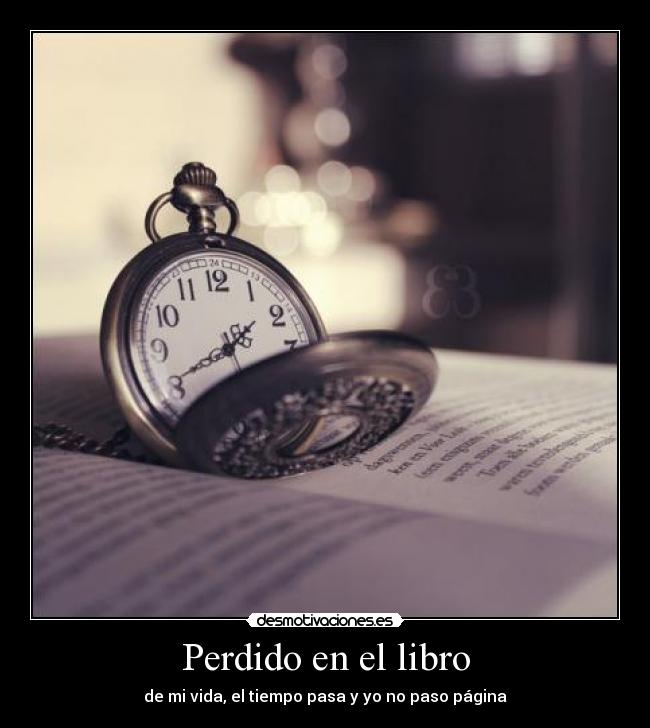 Perdido en el libro -