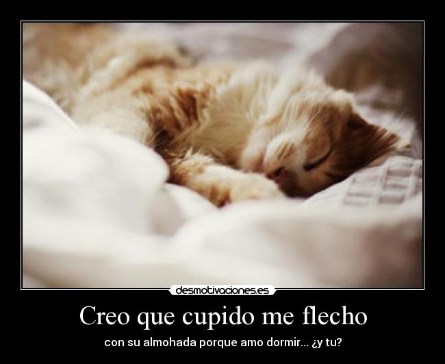 Creo que cupido me flecho - 