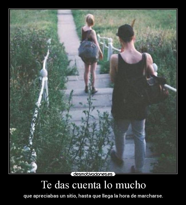 Te das cuenta lo mucho - 
