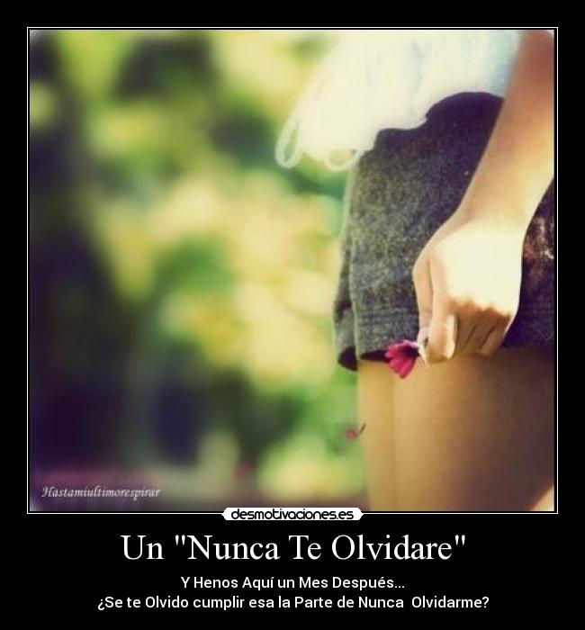 Un Nunca Te Olvidare - Y Henos Aquí un Mes Después...
¿Se te Olvido cumplir esa la Parte de Nunca  Olvidarme?