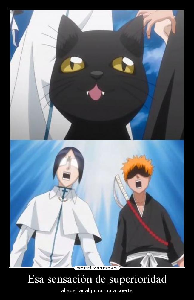 carteles raptorhunters nigatsu harukaze anime bleach yoruichi una crack ichigo kurosaki uryuu ishida desmotivaciones