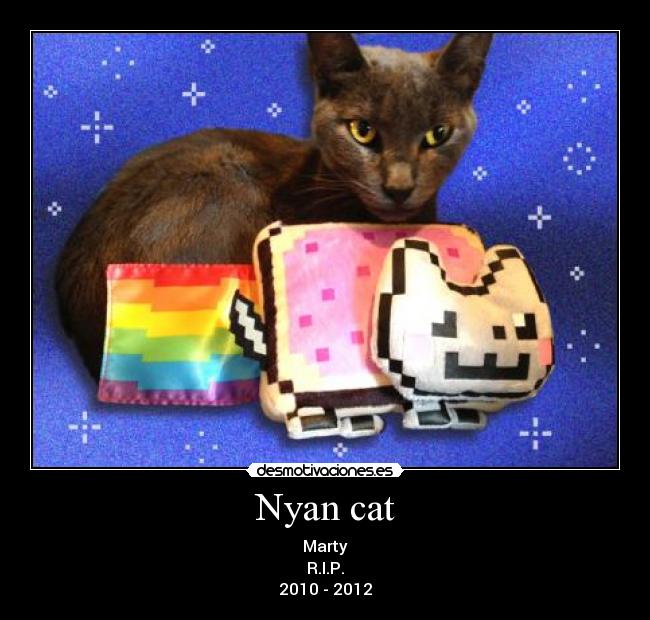 Nyan cat - Marty
R.I.P.
2010 - 2012