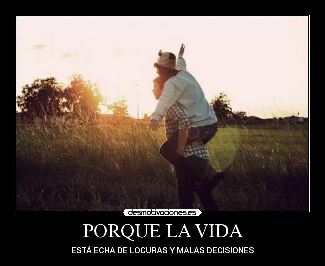 carteles vida lelele desmotivaciones