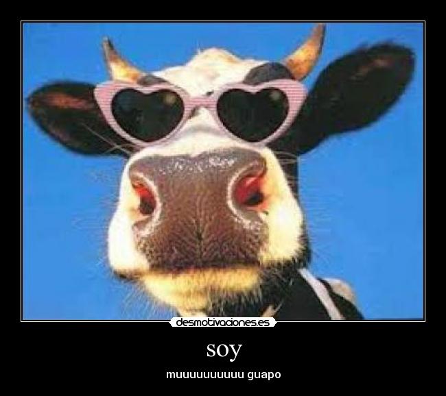 soy - muuuuuuuuuu guapo
