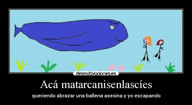 Acá matarcanisenlascíes - queriendo abrazar una ballena asesina y yo escapando