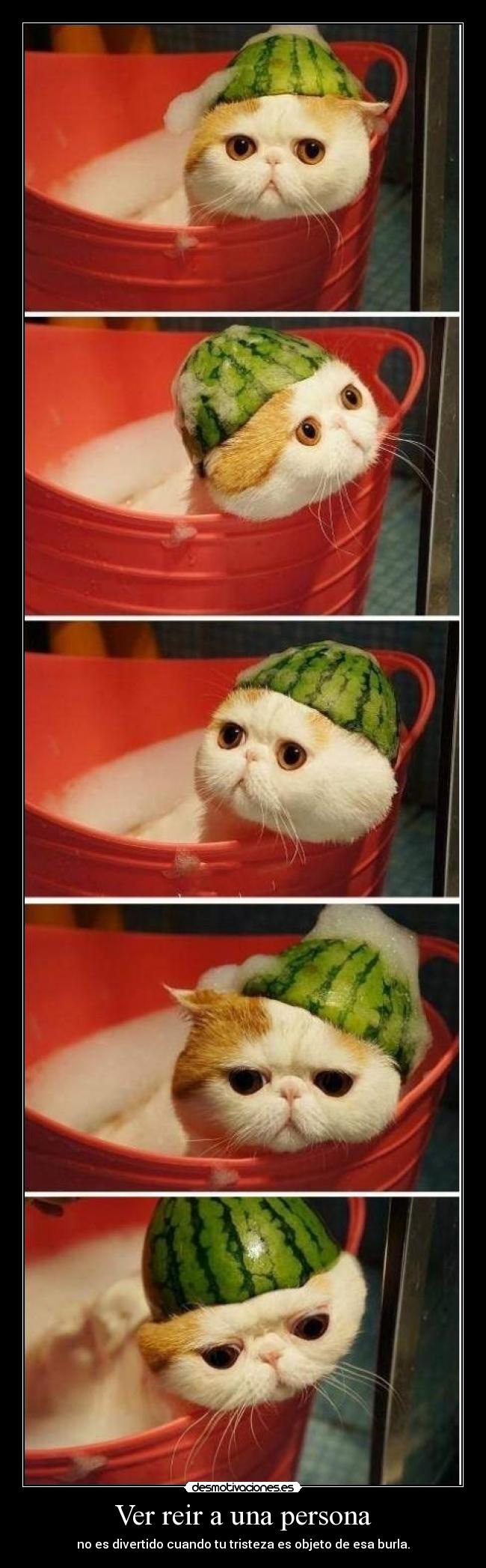 carteles que rian esta tan bueno desmotivaciones