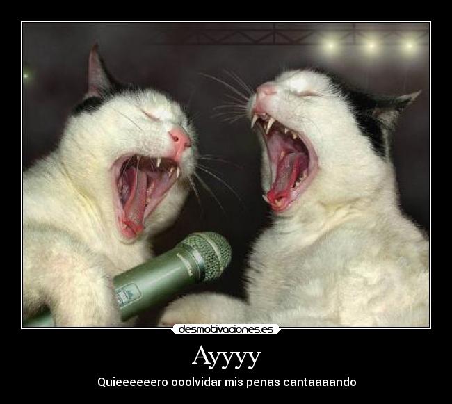 Ayyyy - Quieeeeeero ooolvidar mis penas cantaaaando