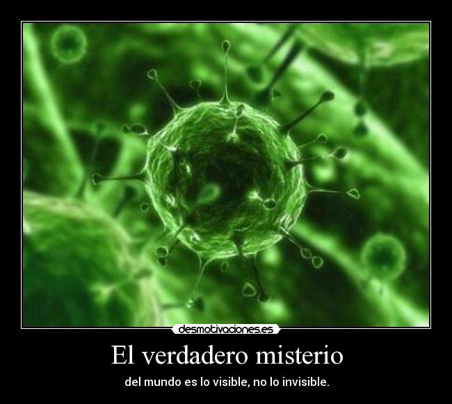 El verdadero misterio -