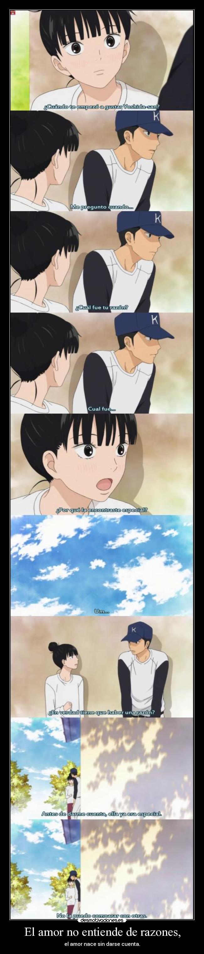 El amor no entiende de razones, - el amor nace sin darse cuenta.