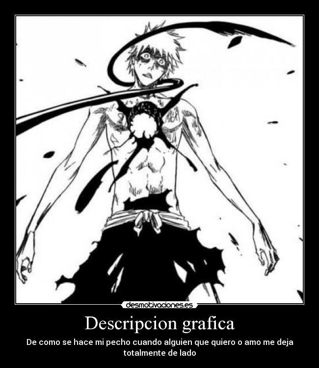 Descripcion grafica -