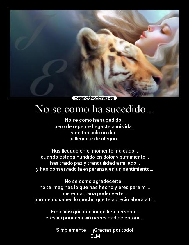 carteles princesa esto solo pequeno detalle que espero que guste gracias por todo verdad desmotivaciones