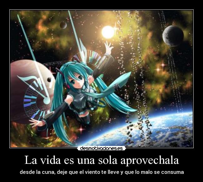 carteles vida vida solo una desmotivaciones