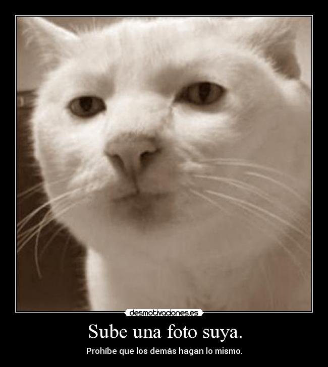 carteles error 404 logica not found xdd ocurre nada mejor que subir jason desmotivaciones