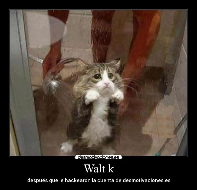 carteles voy hackear borrar todos los carteles desmotivaciones