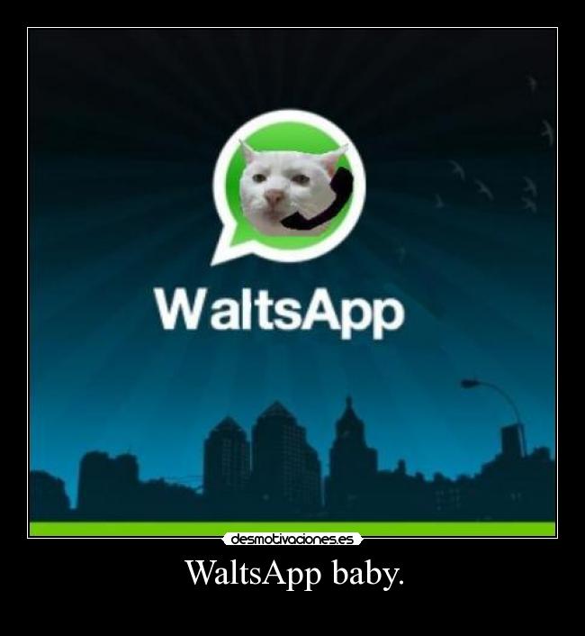 WaltsApp baby. - 