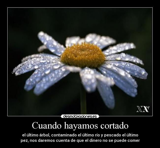 Cuando hayamos cortado -