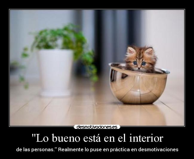 Lo bueno está en el interior - 
