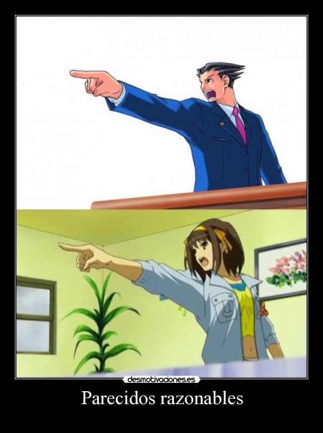 Parecidos razonables -