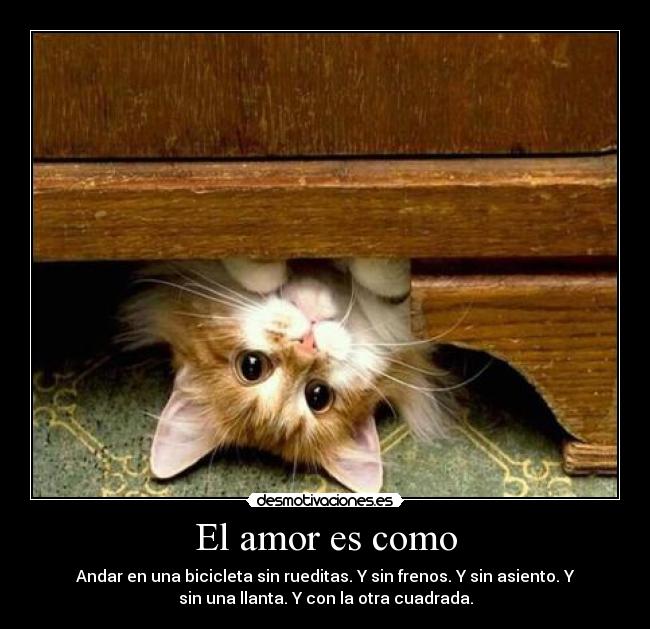 El amor es como - Andar en una bicicleta sin rueditas. Y sin frenos. Y sin asiento. Y
sin una llanta. Y con la otra cuadrada.