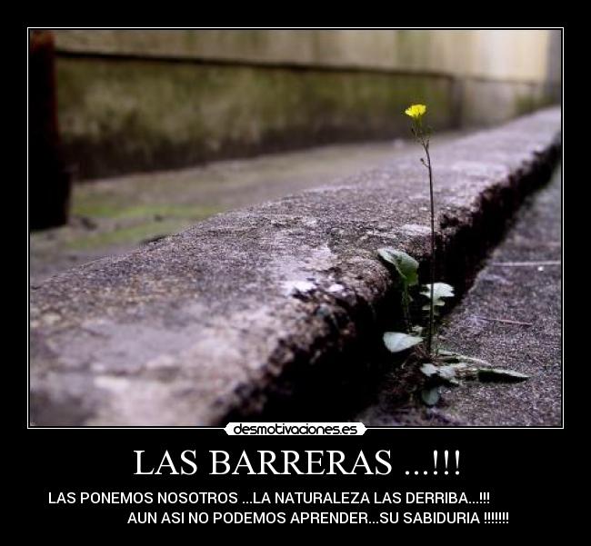 LAS BARRERAS ...!!! - LAS PONEMOS NOSOTROS ...LA NATURALEZA LAS DERRIBA...!!!
AUN ASI NO PODEMOS APRENDER...SU SABIDURIA !!!!!!!