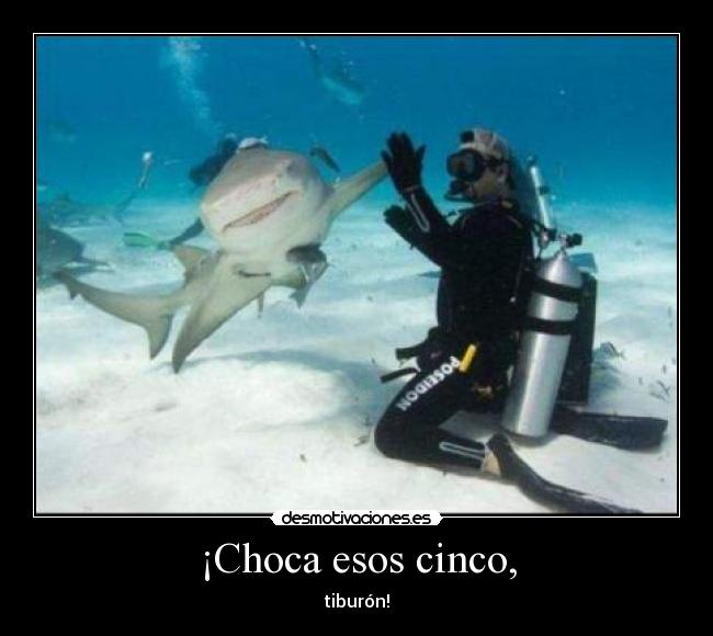 ¡Choca esos cinco, - tiburón!