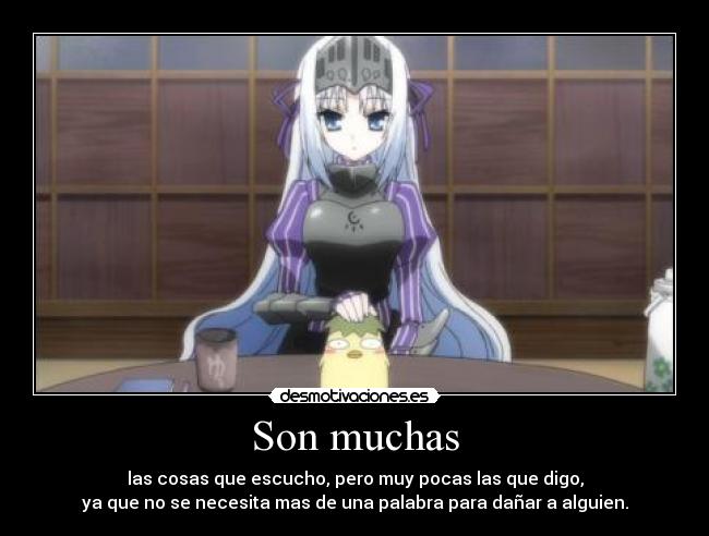 Son muchas - 