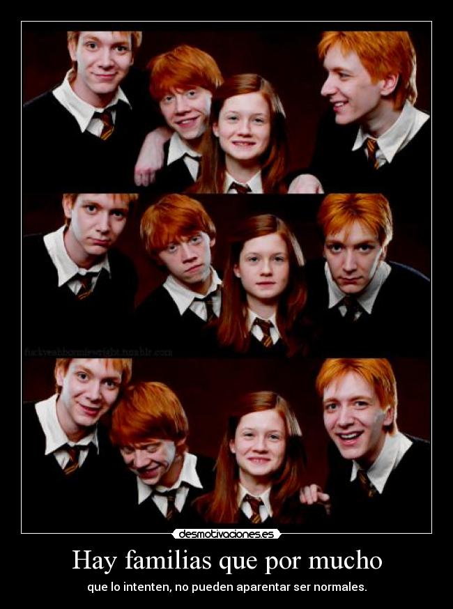 Hay familias que por mucho - que lo intenten, no pueden aparentar ser normales.