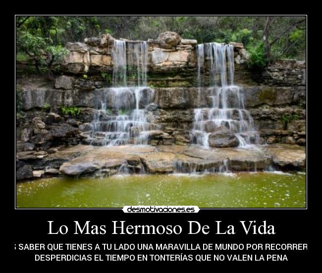 carteles vida desmotivaciones