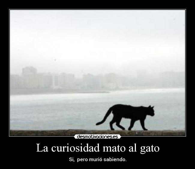 La curiosidad mato al gato - 