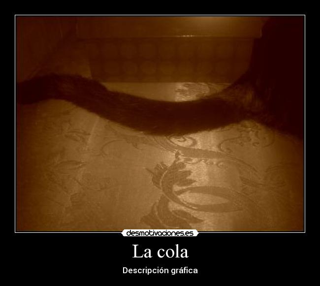 La cola - Descripción gráfica
