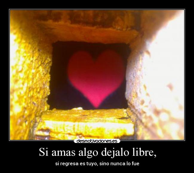 Si amas algo dejalo libre, - si regresa es tuyo, sino nunca lo fue
