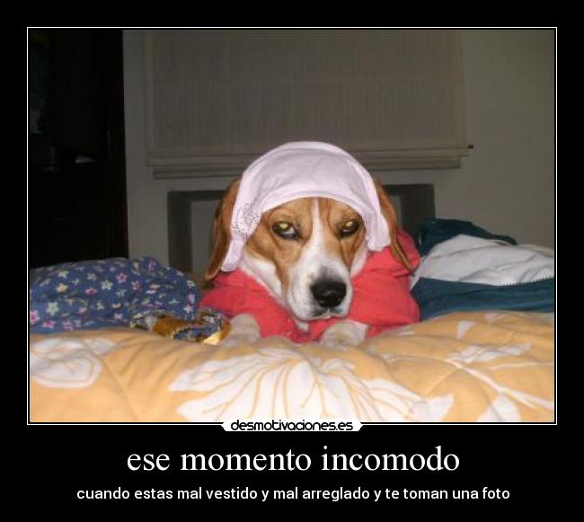 ese momento incomodo - cuando estas mal vestido y mal arreglado y te toman una foto