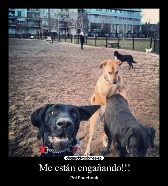 Me están engañando!!! - Pal Facebook