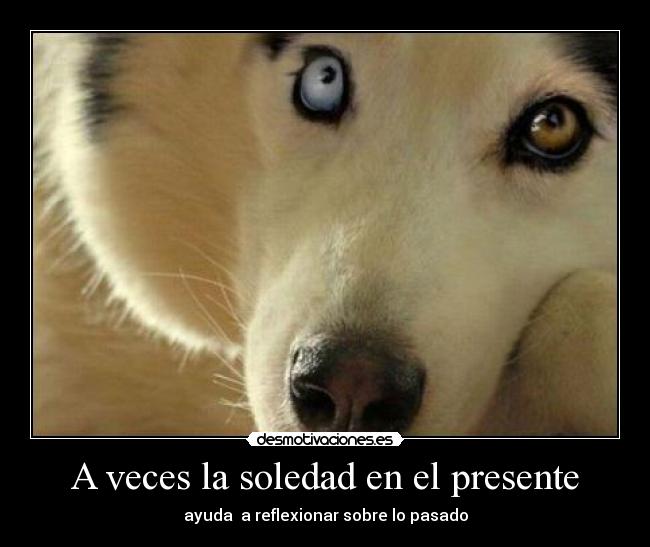 A veces la soledad en el presente - 