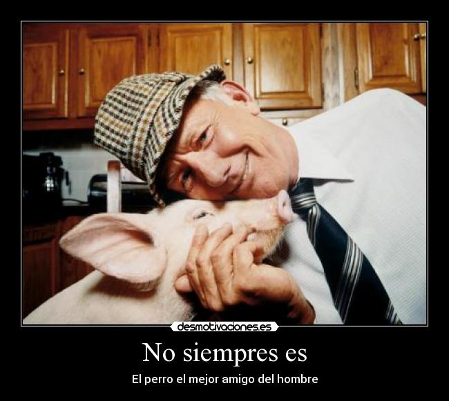 No siempres es - El perro el mejor amigo del hombre